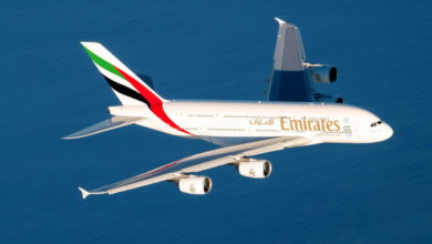 Emirates to offer new airport-to-airport service for pets