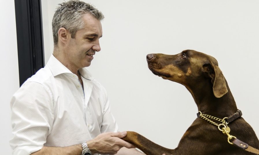 £3.3m pet hospital opens for business