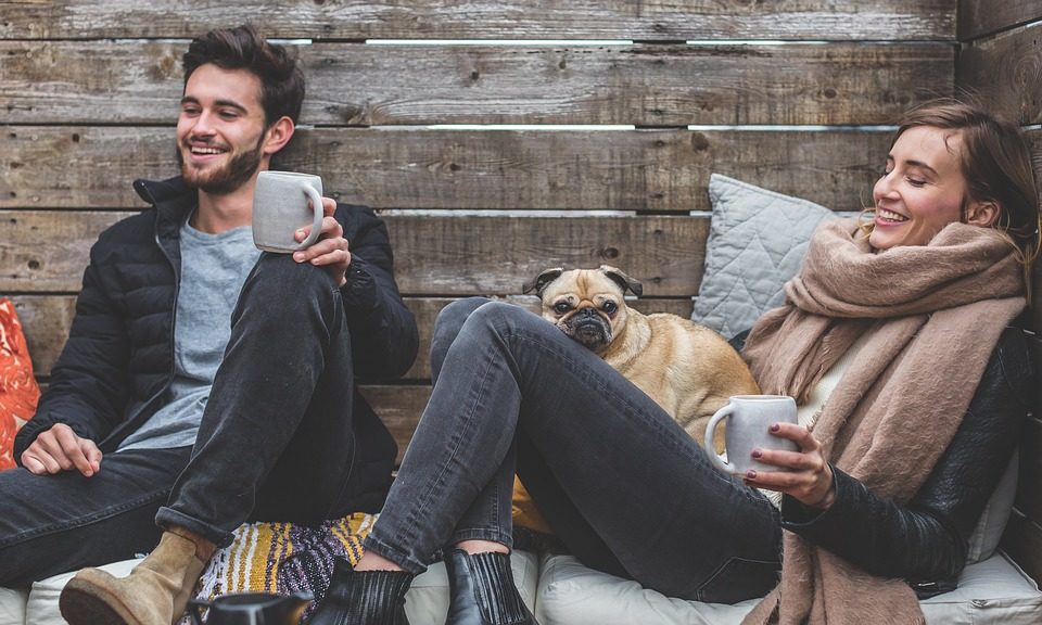 One in seven Brits would rather go on holiday with their dog than their partner