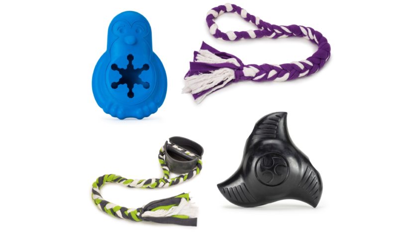 PetSafe Brand launches four new pet toys