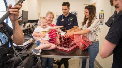 West Kirby vet to star in children’s TV show