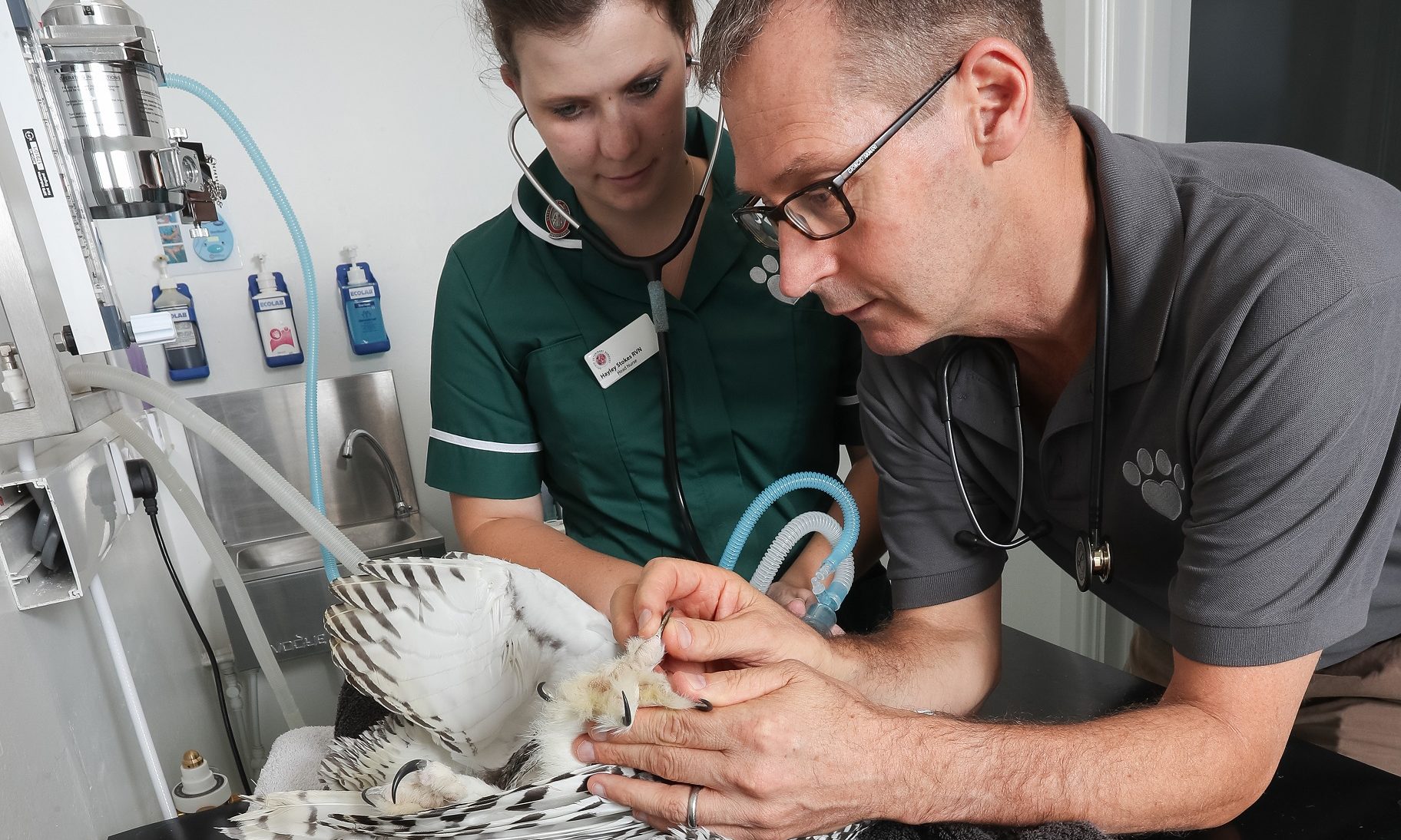 Exotic vet practice given £125,000 investment