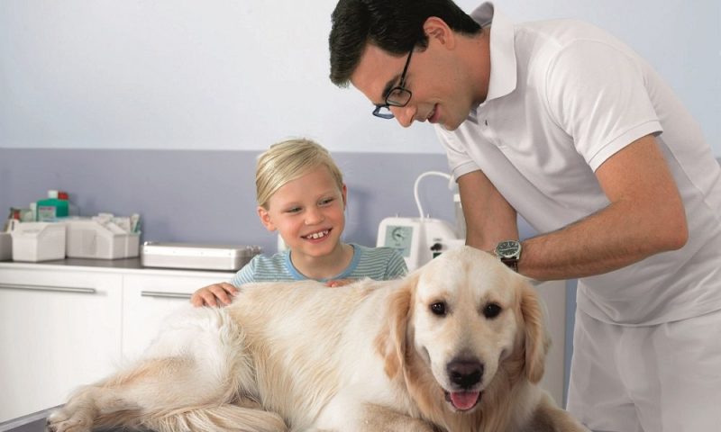 Majority of vet practices ‘admit they need to get tough on infections’