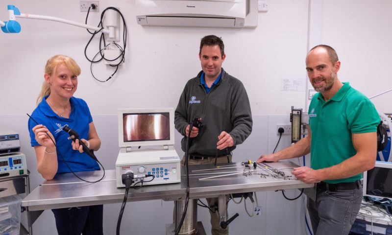 Bournemouth veterinary practice receives £30,000 investment