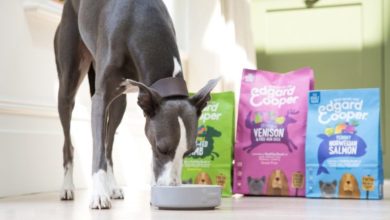 Edgard and Cooper launches in US