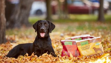 Natures Menu introduces two new Country Hunter products