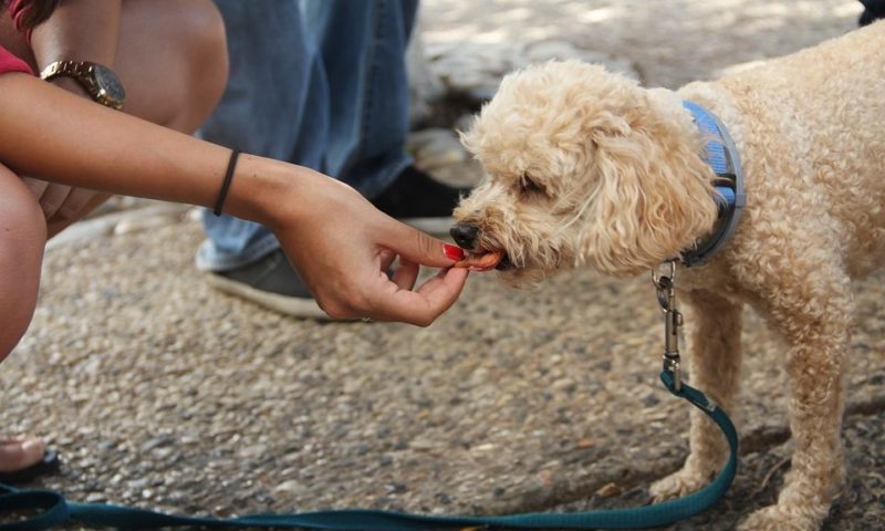 Firelight Capital Partners acquires Snif-Snax