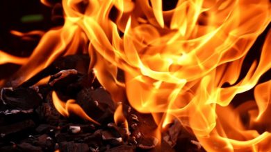 Amazon removes heat pad which killed four kittens after catching fire