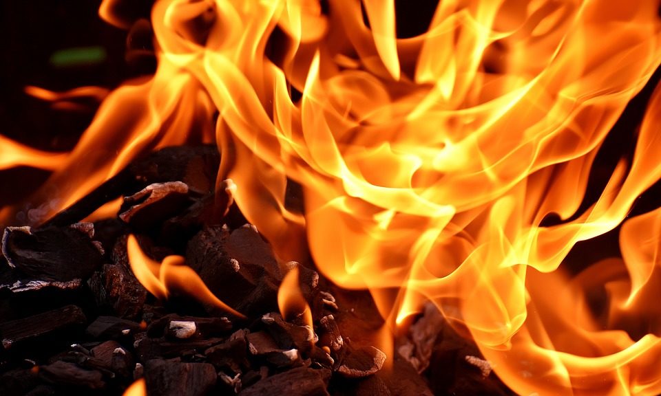 Amazon removes heat pad which killed four kittens after catching fire