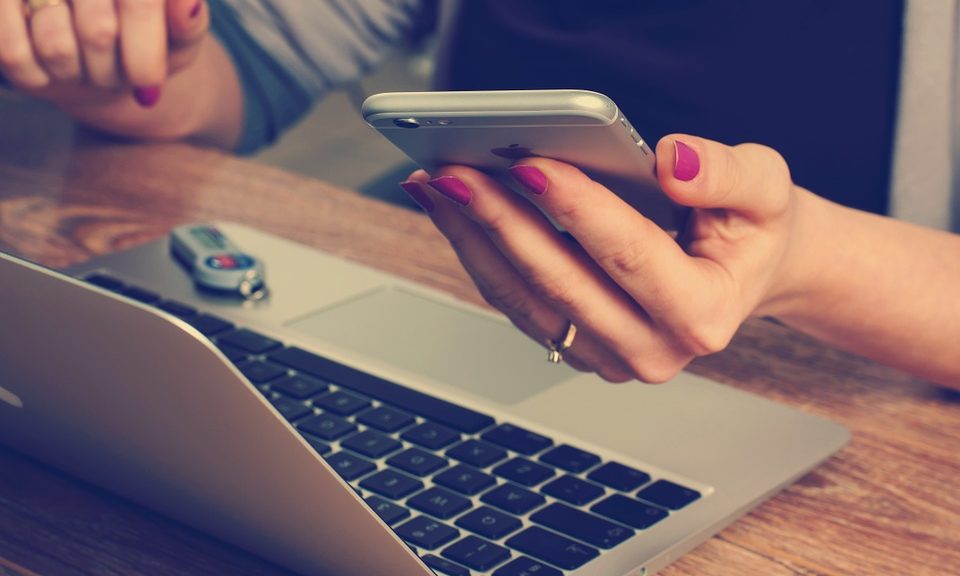 Vets come together to create new veterinary app