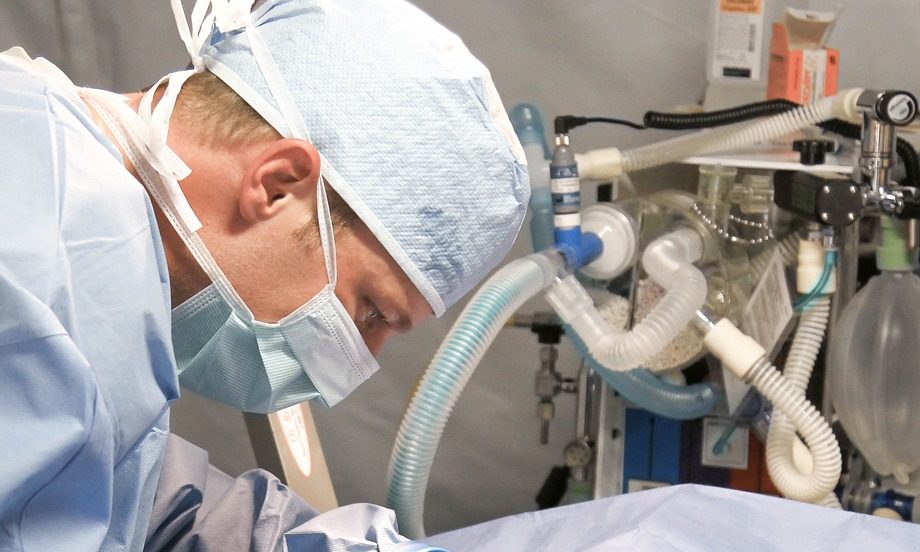 ‘Future-focused’ programme for the RCVS at BSAVA Congress