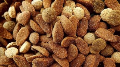 Pet firm to install chimney to tackle factory odour