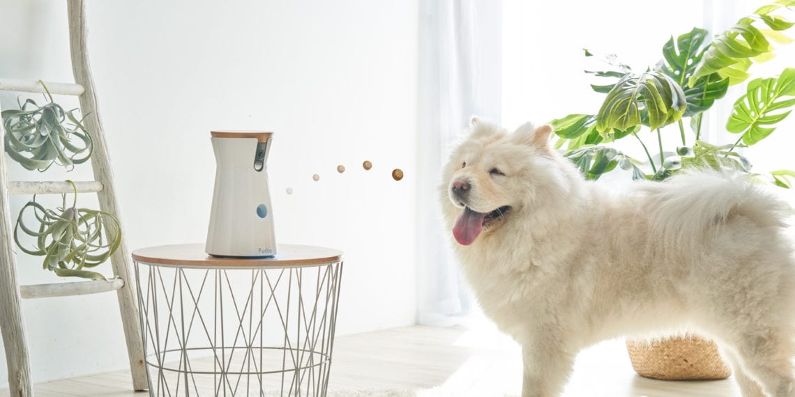 Furbo camera to be featured during Amazon's Black Friday deals