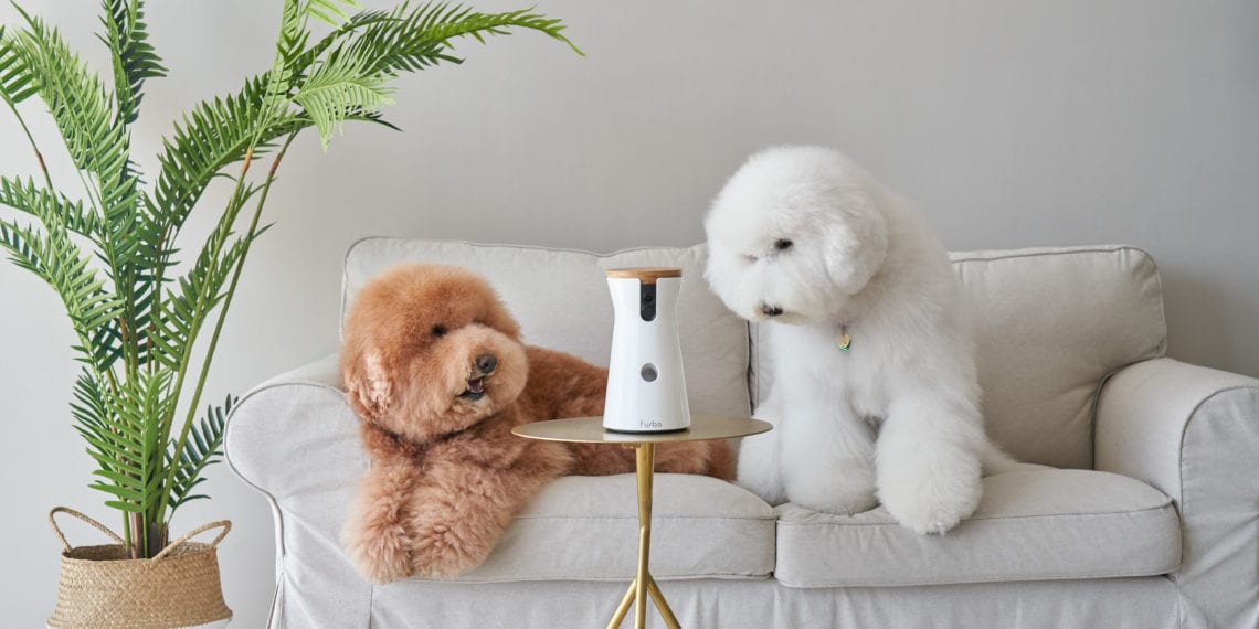 Furbo camera to be featured during Amazon's Black Friday deals