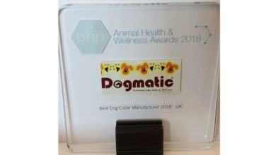 Dogmatic wins at the Global Health & Pharma 2018 awards