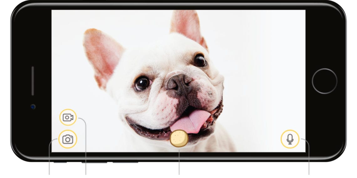 Furbo camera to be featured during Amazon's Black Friday deals