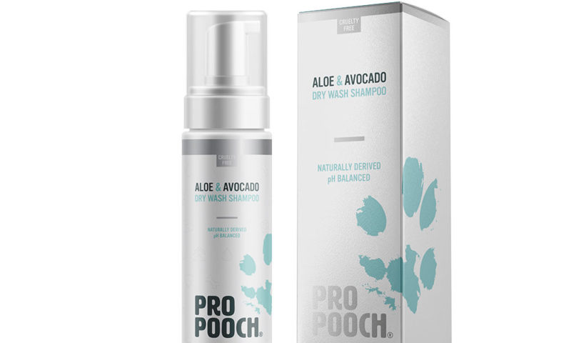 Mayhew and Pro Pooch form ‘charitable relationship’