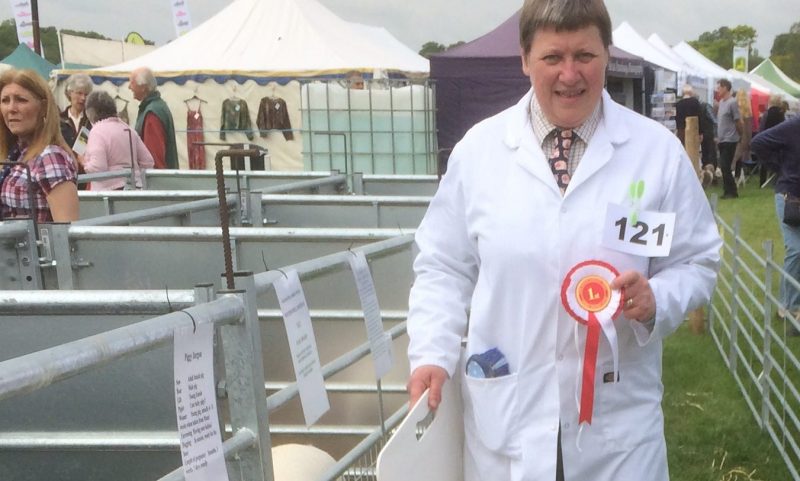 A day in the life of an SQP