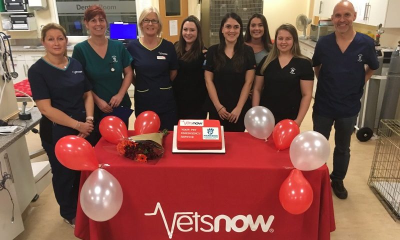 Emergency vets opens in Dundee