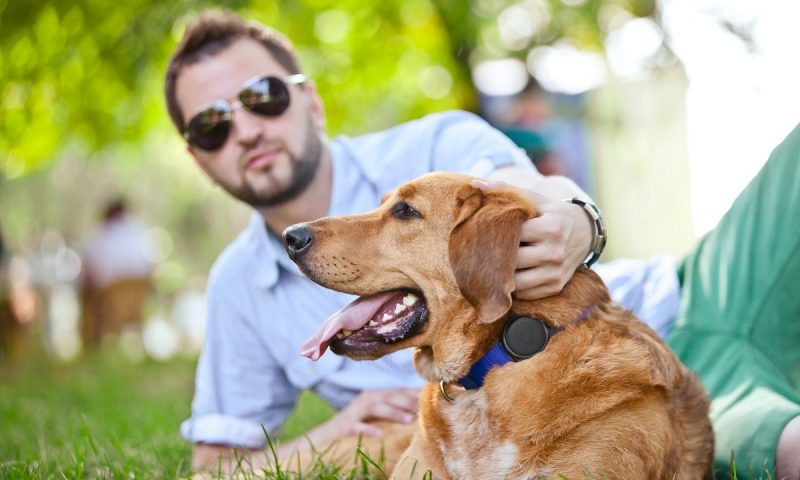 GPS dog collar brand Mishiko signs distribution deal with Exertis