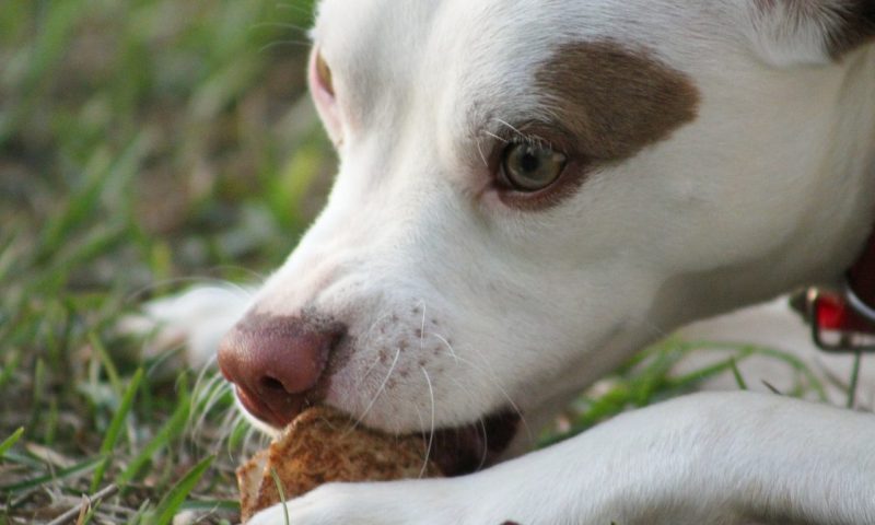 Cotswold RAW launches ‘3 Birds in a Bowl’ festive range