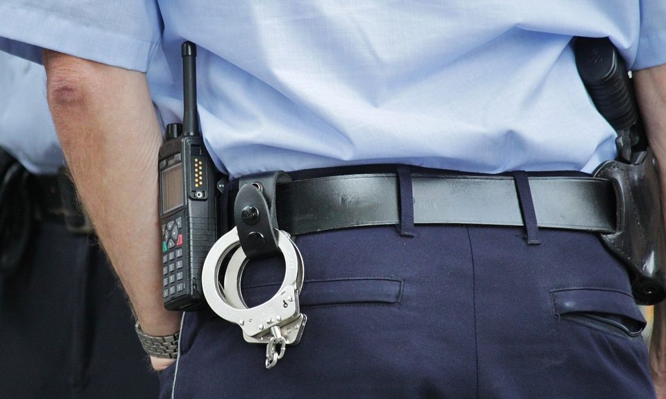 Pet abduction to be made new criminal offence 