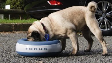 Podium Pet Products enjoys a year of growth