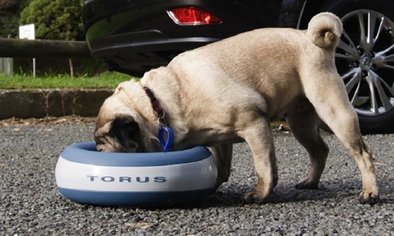 Podium Pet Products enjoys a year of growth