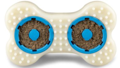 Petsafe brand expands Play & Challenge range