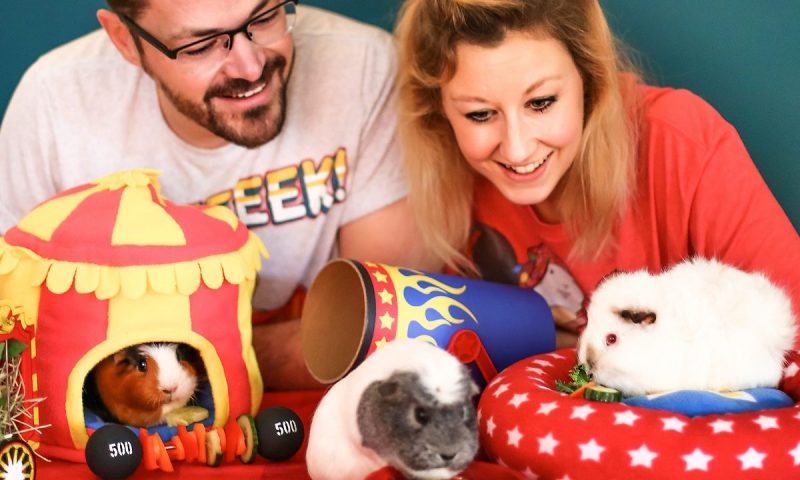 Hay Pigs up for national award