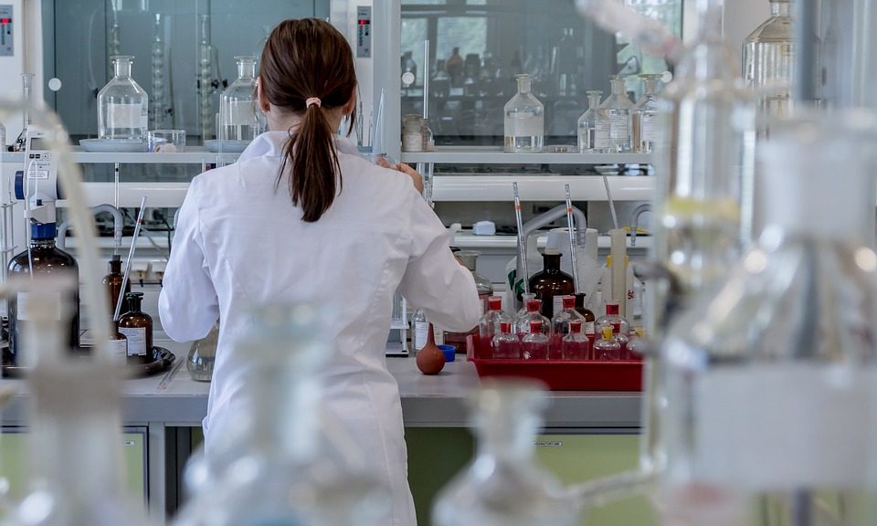 RCVS Council candidates and new VN Council member announced