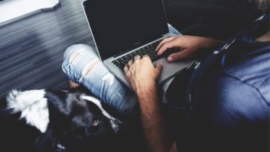 PawSquad launches online veterinary subscription service