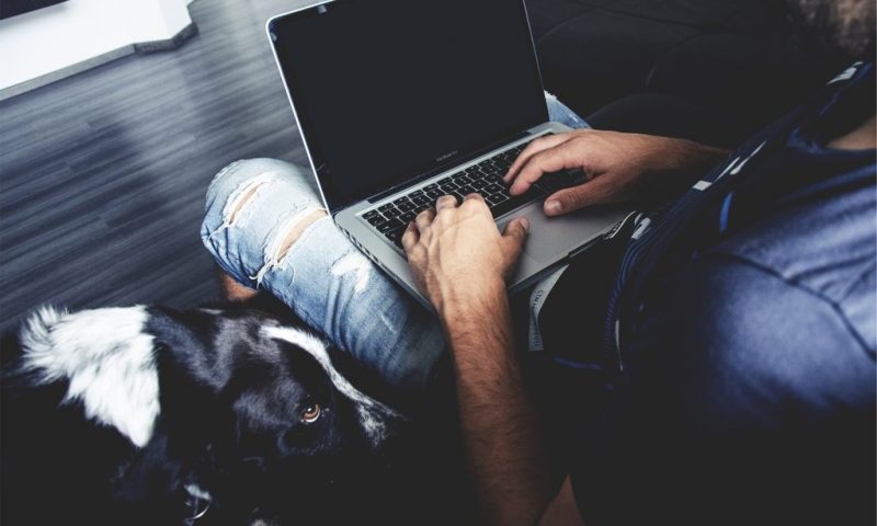 PawSquad launches online veterinary subscription service