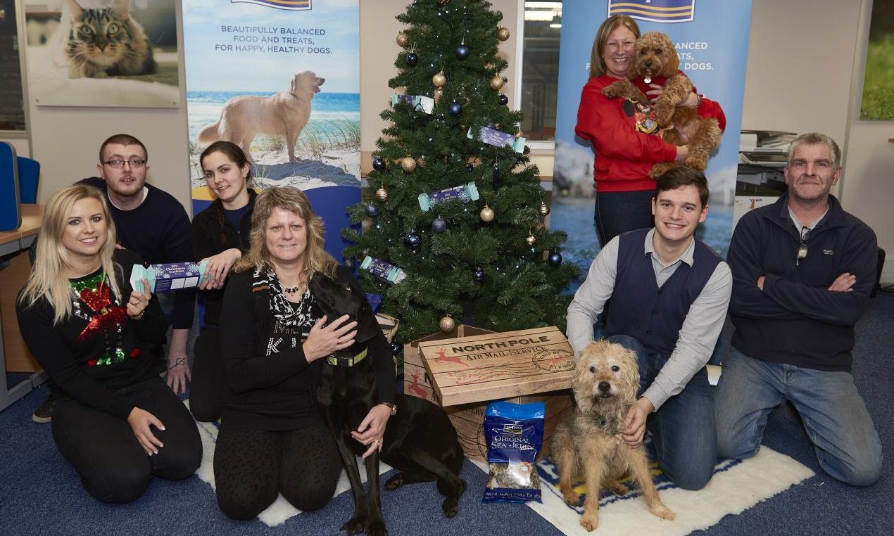 Fish4Dogs announces it has reached £17m turnover in eight years