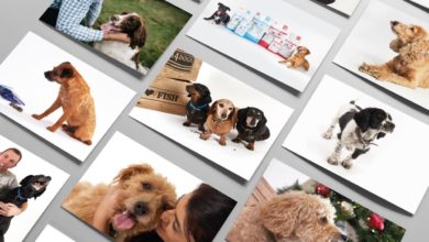 Fish4Dogs launches 2019 calendar