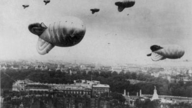 Britain’s secret WW2 pet massacre