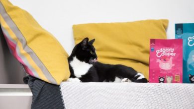 Edgard & Cooper expands into cat food