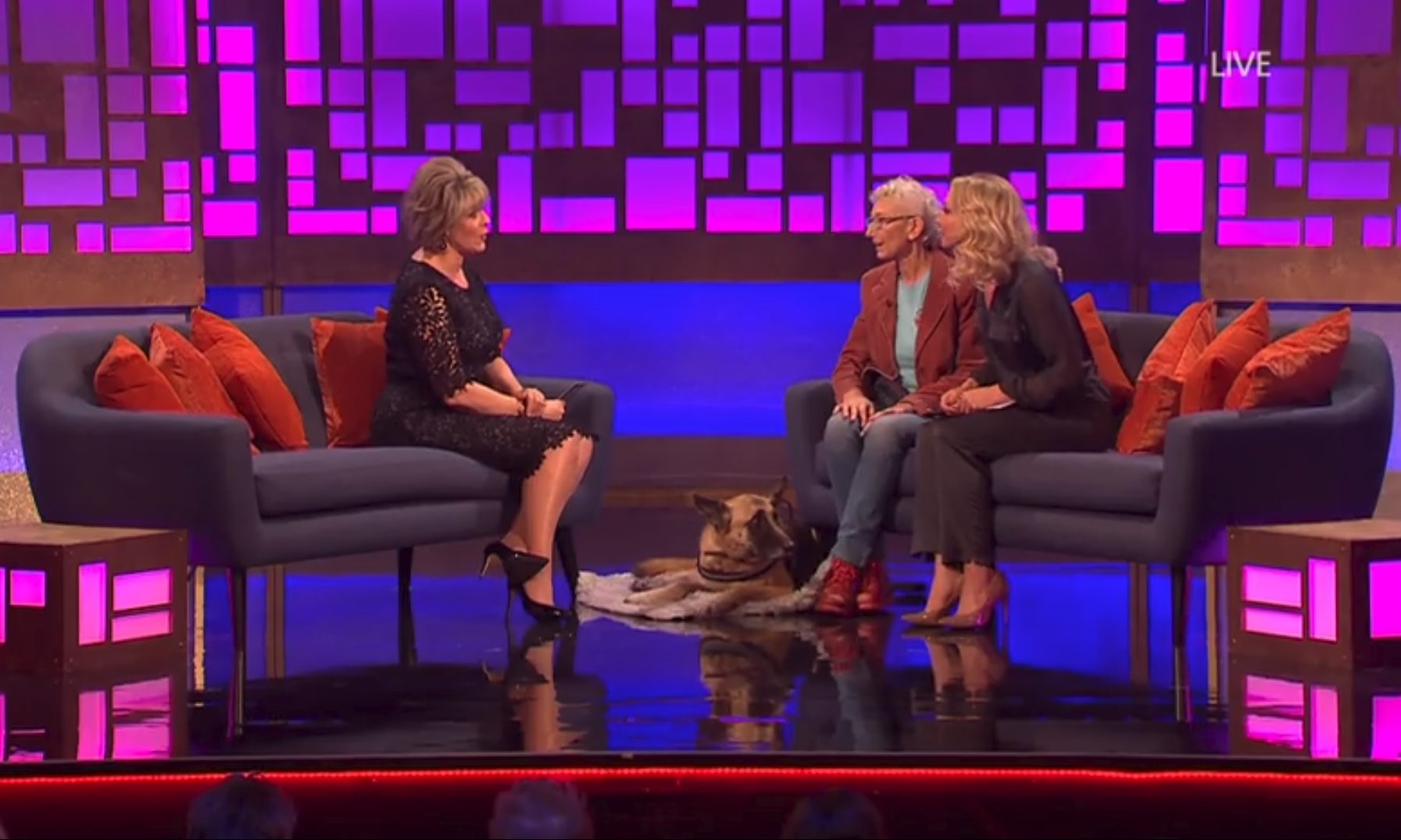 Fish4Dogs helps rescue charity on ‘Do The Right Thing’ TV programme