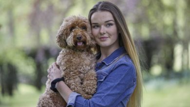 Eukanuba releases children’s book celebrating canine companionship