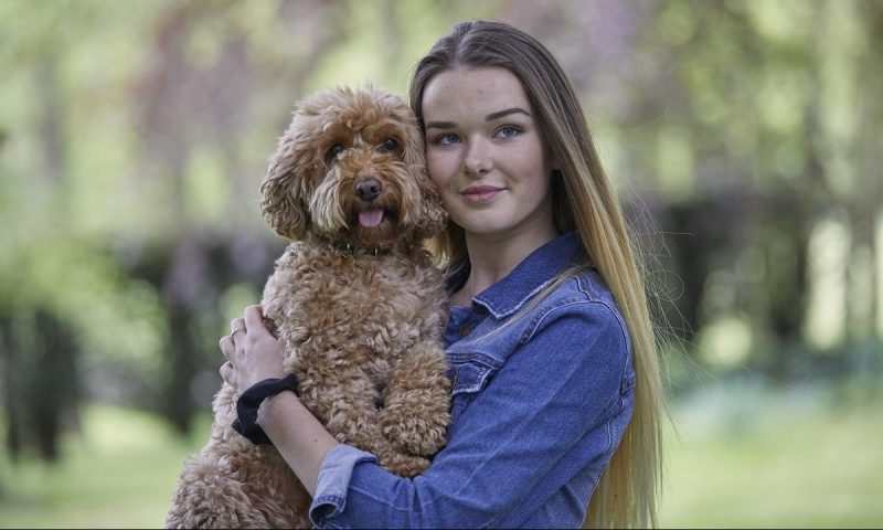 Eukanuba releases children’s book celebrating canine companionship