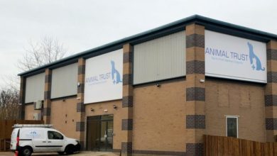 Not-for-profit vet opens second practice in Yorkshire