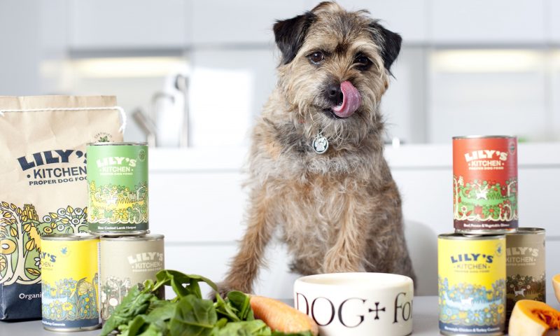 Lily’s Kitchen reports another year of ‘strong growth’