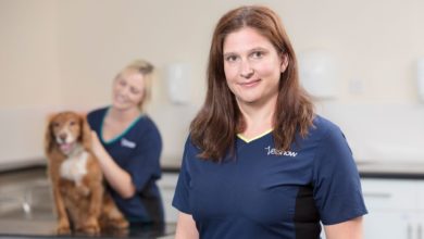 Vets Now staff use £200,000 fund to help critically-ill pets over festive period