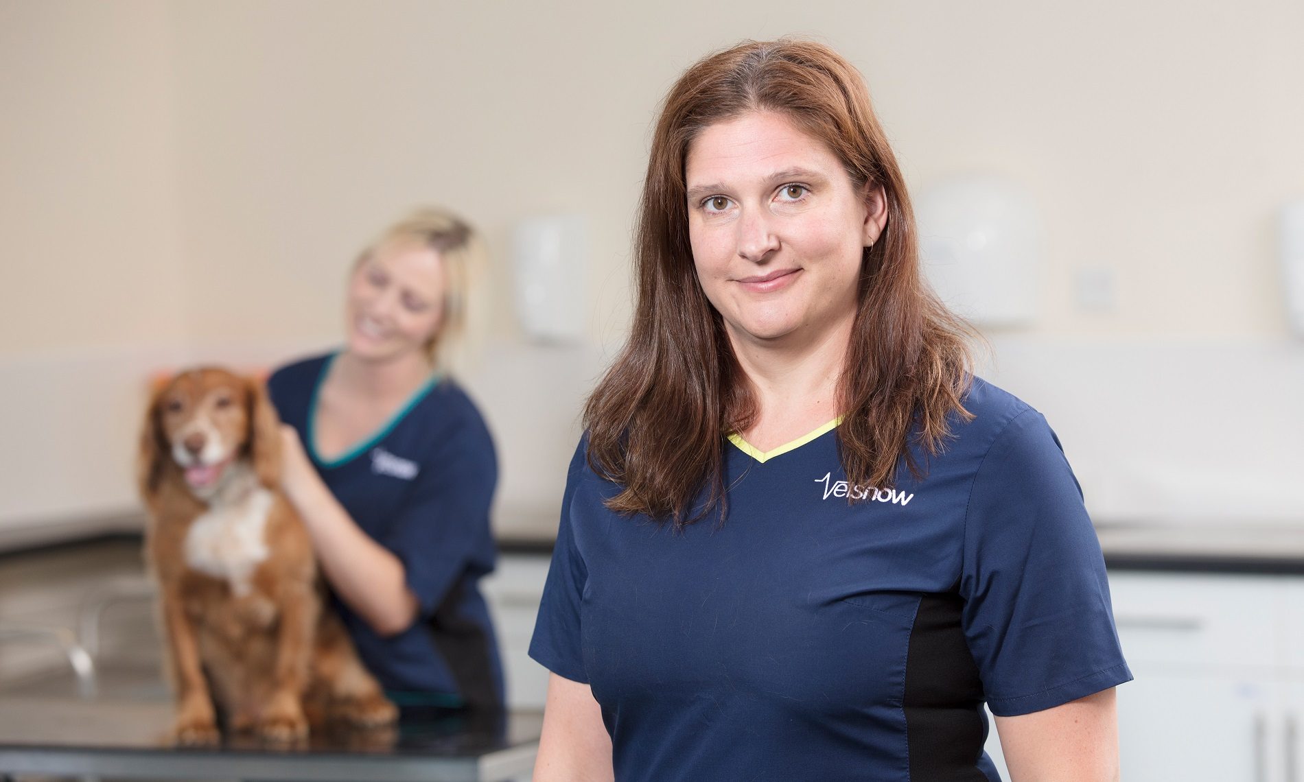 Vets Now staff use £200,000 fund to help critically-ill pets over festive period