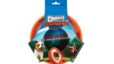 Chuckit! unveils new Rugged Fetch Wheel toy for tougher play
