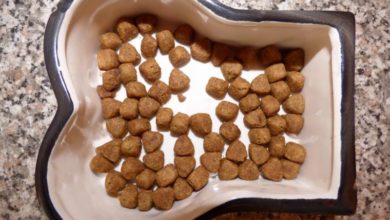 EU and member states endorse FEDIAF code of pet food labelling
