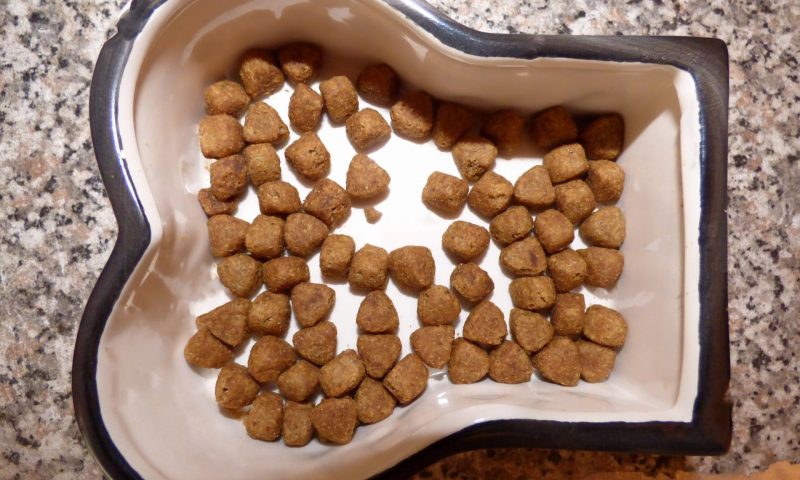 EU and member states endorse FEDIAF code of pet food labelling