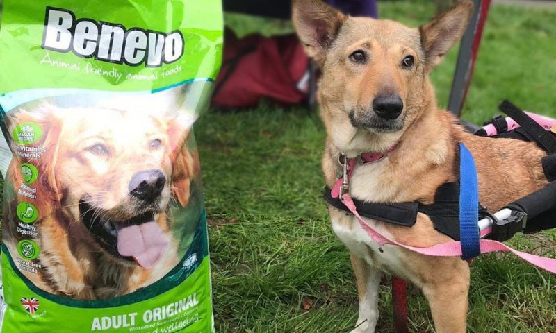 Benevo maintains top ethical score for third year running