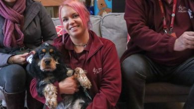 Yorkshire business backs charity assistance puppies