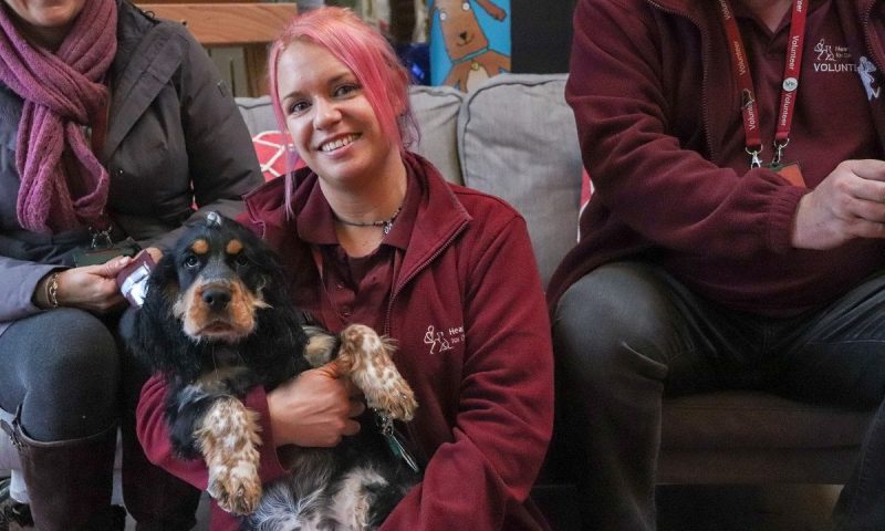 Yorkshire business backs charity assistance puppies